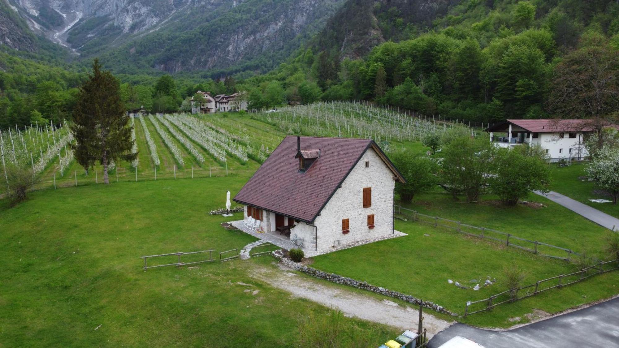 Agriturismo Pian Dei Tass Барчіс Екстер'єр фото
