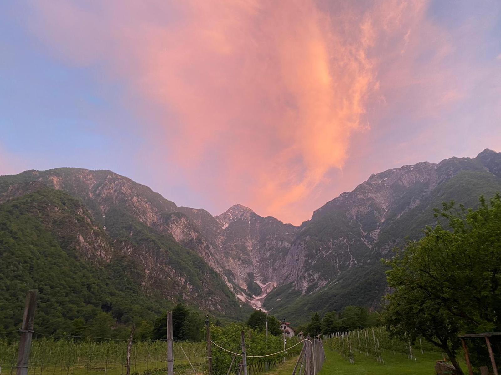 Agriturismo Pian Dei Tass Барчіс Екстер'єр фото